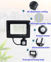 Capteur de mouvement PIR projecteurs LED infrarouges réflecteur projecteur 10w 30w 50w 100w lumière d'inondation extérieure pour chemin de cour de garage