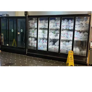 玻璃门室内展示冷藏室袋装冰柜