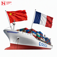 Transitaire professionnel européen Chine-Allemagne, Royaume-Uni, France, Italie, Espagne DDP par mer, air, rail, porte à porte
