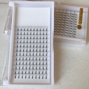 ถาดขนตาสำเร็จรูป6D สั้น0.07 D ก้าน6D วัสดุเส้นใย PBT ความยาว8-15มม. ความยาวเดี่ยว6D 0.07 D พัดลมที่สร้างไว้ล่วงหน้า - Product Image 1