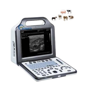 Échographe numérique noir et blanc portable pour vétérinaires, système de diagnostic ultrasonore à prix imbattable BW21Avet - Product Image 1