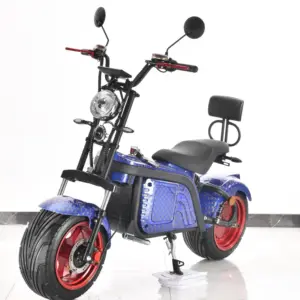 ベストセラー卸売ストリートトレンド電動バイク大人用電動バイク日本製電動バイク5000W 8000W 10000W