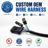 Aptiv 12162102 6p Kabel Harness Sepeda Motor GXL TXL MP150 Kabel Tahan Air  Kabel & Rakitan Kabel
