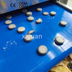 Machine de <span class=keywords><strong>fusion</strong></span> et de recouvrement automatique de chocolat haute précision pour la production en atelier de biscuits, amandes, noix de cajou et snacks - Product Image 4