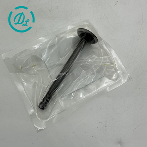 วาล์วไอเสียดีเซล EexcavaStart รุ่น 1G897-13124 สำหรับเครื่องยนต์ V2403 รถแทรกเตอร์ รถขุด รับประกัน 6 เดือน พร้อมรายงานวิดีโอ - Product Image 2