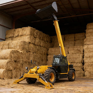 Manipulador Telescópico de 3 Toneladas con Gran Radio de Trabajo y Aplicaciones Versátiles, Montacargas Telescópico de 3 Toneladas, Grúa Telescópica Japonesa - Product Image 1