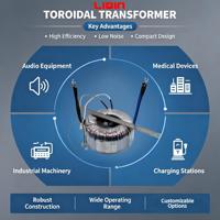 Transformateur toroïdal audio monophasé 50W-5000W, entrée 134V vers 12V 24V 48V, étanche, OEM personnalisé, CE RoHS, faible MOQ
