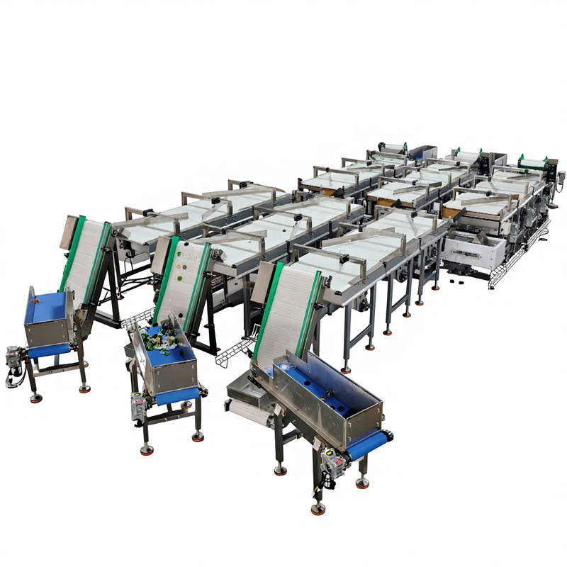 Focus Machinery New PVC Inclined Conveyor