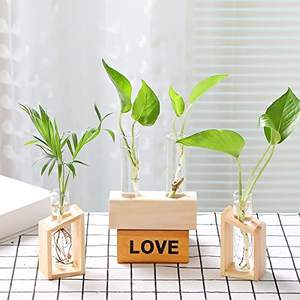 Vaso di vetro <span class=keywords><strong>per</strong></span> ufficio e giardino <span class=keywords><strong>per</strong></span> uso decorativo - Product Image 3