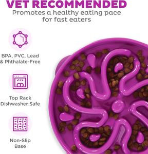 OKKPETS Cachorro Colorido Alimentador Lento Tigela Venda Quente Osso Em Forma De Plástico Gato <span class=keywords><strong>Pet</strong></span> Alimentador Lento Cachorro Tigela - Product Image 4