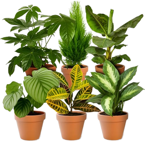 Ensemble de 6 plantes synthétiques Surprise |   Approx. 40-70 cm |   Diamètre du pot : 12-15 cm |   Produits cultivés par des experts <span class=keywords><strong>pour</strong></span> le bureau à domicile, livraison rapide, vert - Product Image 1