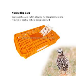 Jaula de Transporte de Plástico YYC para Aves de Corral, Jaula para <span class=keywords><strong>Pollitos</strong></span>, Jaula para Codornices, Jaula de Transporte para <span class=keywords><strong>Pollitos</strong></span> de Paloma - Product Image 2
