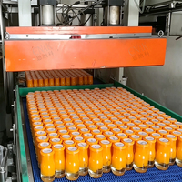 ENAK Automatische productielijn voor blikken, flessen en ingeblikte voedingsmiddelen (sinaasappelen, mandarijnen)