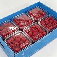 Groothandel voedselveilige fruit- en groentebak, herbruikbare gegolfde kunststof bak voor bessen, vis, verse producten export