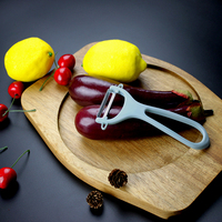 Pengupas Sayur & Buah Stainless Steel Sederhana yang Dapat Digunakan Kembali dengan Gagang Plastik PP untuk Apel, Pir, Kentang, Wortel SINOWINS