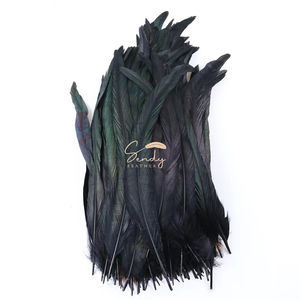 Bulkprijs 35-45cm zwarte hanenveren groothandel Rooter coque staarten voor hoofdtooi carnaval rugzakdecor - Product Image 5