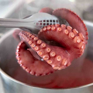 Pulpo congelado entero limpio hervido en salmuera Tako Sashimi grado mariscos procesados FUENTE DE Singapur para platos de Sushi - Product Image 1