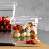 Bacs alimentaires en polycarbonate plastique certifiés NSF, incassables, résistants à la chaleur (200°F), pour tables à vapeur, buffets, traiteur
