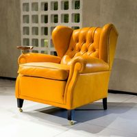 Fauteuil électrique industriel capitonné American Leisure avec accoudoir unique, structure en acier inoxydable, mobilier de maison pour salon