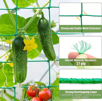 Treillis de jardin de haute qualité pour plantes grimpantes - Filet de plantation en PE pour tomates, concombres, haricots