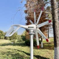 Générateur éolien horizontal à 8 pales, 1000w, 24v