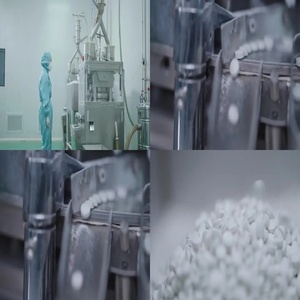 Nhân Sâm chín kho báu kết hợp hương vị để tăng cường nam cho người lớn nam giới và phụ nữ với OEM/ODM - Product Image 6