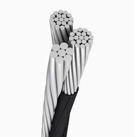 0,6/1kV Einzel-, 1-, 2-, 4-, 5-adriges 25mm², 70mm², 95mm², 185mm² Luftbündelkabel (ABC-Kabel), Duplex-Service-Anschlussleitung für die Überkopf-Stromversorgung
