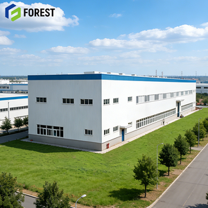 Estructura de Acero Prefabricada para Almacenes Logísticos, Diseño Personalizado Aislado para Instalaciones Logísticas Comerciales - Product Image 1