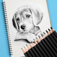 Crayons à dessin non toxiques, 10 pièces, crayons à croquis pour artistes, crayons à dessin professionnels avec boîte en papier personnalisée