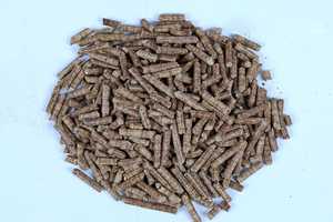 Pellets de Madera de Biomasa GREEN PELLET INDIA de Alta Densidad (550 Kg/m), Diámetro de 6-8 mm, Longitud de 10-40 mm - Product Image 2