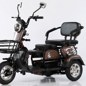 Scooter Eléctrico de 3 Ruedas de 500W, Triciclo Motorizado para Adultos con Luz de Giro, Certificado EEC, Voltaje de 48V - Product Image 4