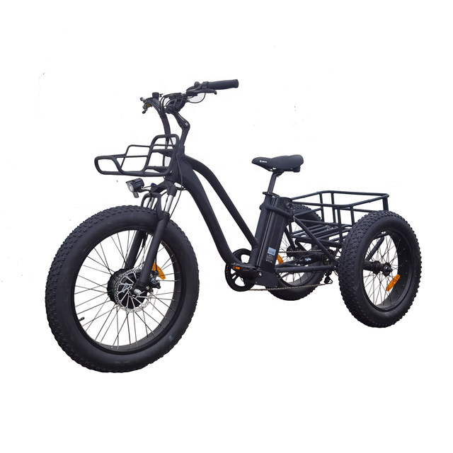 2021 Power 48V 750W 3 Wheel Electric Cargo Bicycle 48V 17Ah Battery Cargo Ebike Fat Electric Cargo Bikes