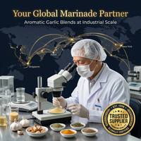 Poudre de marinade séchée mélangée à l'ail pour poulet, porc, poisson et steak |   Assaisonnement BBQ Savoureux 6-8% – Vente en Gros OEM