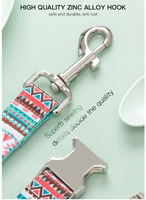 Ensemble collier et laisse pour chien imprimé style ethnique, kit de promenade pour animaux de compagnie, collier et laisse pour chien avec boucle argentée, dropshipping pour usage quotidien du chien