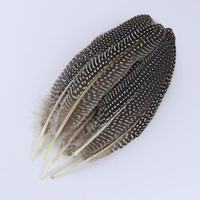 Plumes de poules-de-Inde teintées naturellement pour la décoration intérieure DIY et les mariages