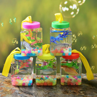 Boîtes, bouteilles de poisson, bol de poisson rouge, seau à méduses, boîte à insectes pour animaux de compagnie, pot de tortue en plastique avec couvercle