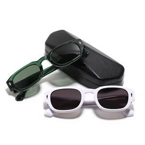 クラシックなスモールフレームのアセテートサングラス 男女兼用 2025 カスタムロゴ入り 偏光 UV400 サングラス - Product Image 1