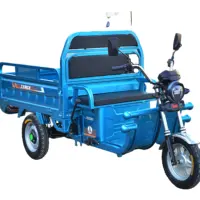 סין חשמלי שלושה גלגלים מטען 1000W תלת אופן חשמלי קטנוע מטען אופניים