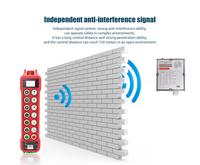 Control Remoto Inalámbrico para Grúa de 12 Botones y Una Sola Velocidad, Transmisor y Receptor