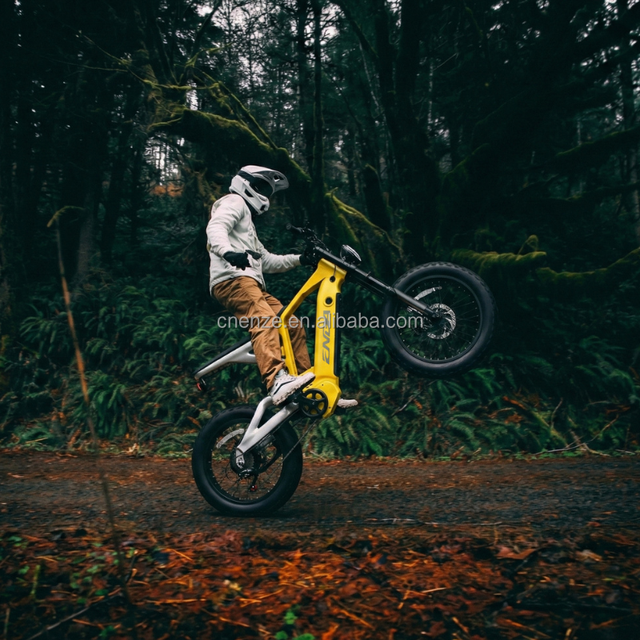 2026 Trendy New Fashion 48V Battery 750W surron Light Bee X Electric Dirtbike Mountain Bike 20 Inch Fat Tire Bicycle for Man