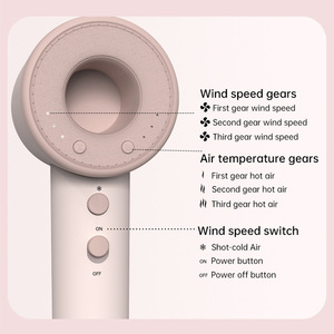 Hair Dryer 1600W High Speed Ionic Negative Ion BLDC Motor Constant Temperature Nozzle Not Included Time Pink - Product Image 3