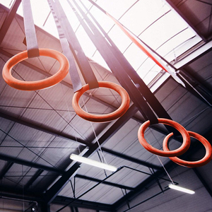 Équipement De <span class=keywords><strong>Gymnastique</strong></span> à la maison ABS Anneaux De <span class=keywords><strong>Gymnastique</strong></span> Avec Bretelles Réglables - Product Image 5