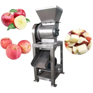 High quality new type industrial fruit crusher machine for ginger/tomato/pineapple paste make
