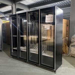 Réfrigérateur commercial pour boissons, 5 étoiles, à économie d'énergie, vertical, à température unique, avec porte vitrée, 300L, 2-8°C - Product Image 4