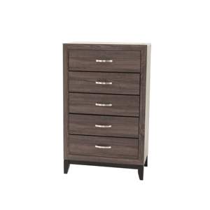 DB Muebles de dormitorio Cómoda de madera maciza de Roble gris rústico 1 pieza Cofre de almacenamiento alto de 5 cajones - Product Image 1