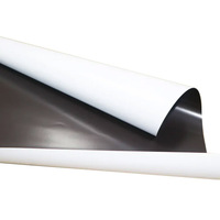Para uso industrial Servicio de corte Disponible Tamaño personalizado Suave A4 Hojas magnéticas Papel impreso Adhesivo Imán de nevera