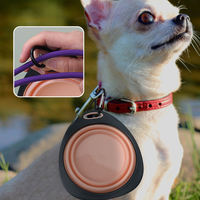 Bol pliable imperméable pour animaux de compagnie en TPR, pour chien et chat, pour l'alimentation et l'eau, pour le camping en plein air, les voyages, bols pliables portables avec mousqueton