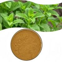 Fournisseur d'usine d'extrait de mélisse officinale (Lemon Balm)