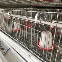 Cage de couvaison pour poussins de type H, design vertical peu encombrant, 1 ensemble de système d'alimentation automatique pour élevage avicole