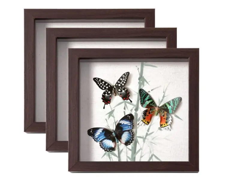 Noyer — boîte à ombres 8x8, cadre photo avec planche en lin, mallette de présentation en bois profond et en verre